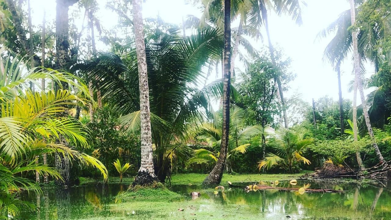 Garden at Villa Hikkaduwa